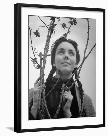 Premium Photographic Print, , large