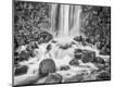 Premium Photographic Print