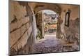 Premium Photographic Print