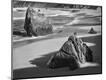 Photographic Print