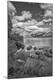 Premium Photographic Print