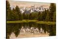 Stretched Canvas Print