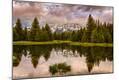 Photographic Print