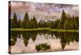 Stretched Canvas Print