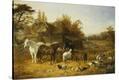 Stretched Canvas Print