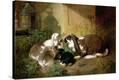 Stretched Canvas Print