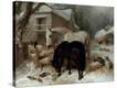 Stretched Canvas Print