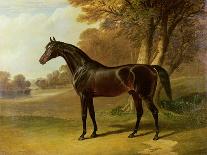 The Streatlam Stud, Mares and Foals, 1836-John Frederick Herring I-Giclee Print