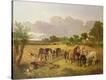 Stretched Canvas Print