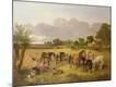 Premium Giclee Print