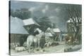Stretched Canvas Print