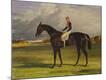 Premium Giclee Print