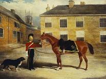 An Officer of the 6th Dragoon Guards, Caribineers with His Mount in the Barrack's Stable Yard-John Frederick Herring II-Giclee Print