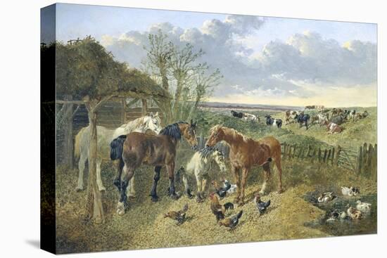 Stretched Canvas Print, , large
