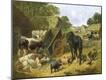 Giclee Print