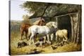 Stretched Canvas Print