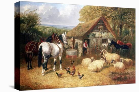 Stretched Canvas Print, , large