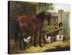 Stretched Canvas Print