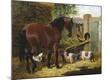 Giclee Print
