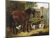 Giclee Print