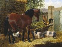 A Farmyard Scene-John Frederick Herring II-Giclee Print