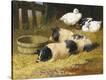 Stretched Canvas Print