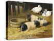 Stretched Canvas Print