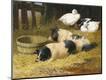 Giclee Print