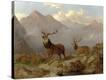 Stretched Canvas Print
