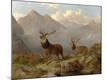 Giclee Print