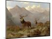 Giclee Print