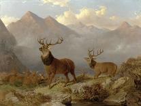 Stags and Hinds in a Highland Landscape, 1864-John Frederick Herring II-Giclee Print