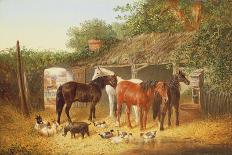 Farmyard Scene-John Frederick Herring Jnr-Giclee Print