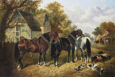 Three Horses with Pigs-John Frederick Herring Jnr-Giclee Print