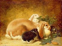 Three Horses with Pigs-John Frederick Herring Jnr-Giclee Print