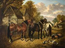 Mr. Sowerby's Grey Carriage Horses in His Coachyard at Putteridge Bury, Hertfordshire, 1836-John Frederick Herring Snr-Framed Giclee Print