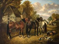 Mr. Sowerby's Grey Carriage Horses in His Coachyard at Putteridge Bury, Hertfordshire, 1836-John Frederick Herring Snr-Giclee Print