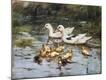 Premium Giclee Print