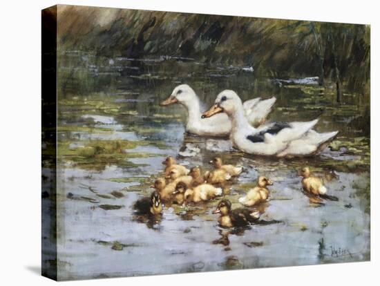 Stretched Canvas Print, , large