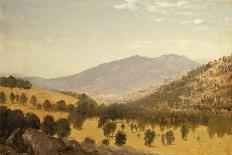 The Old Pine, Darien, Connecticut, 1872-John Frederick Kensett-Giclee Print
