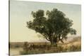 Stretched Canvas Print