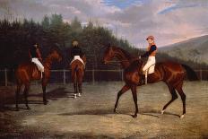 The Prince Consort On Horseback, 1841-John Frederick Senior Herring-Mounted Giclee Print