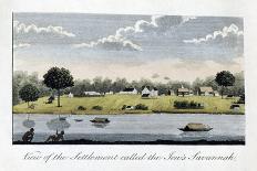 View of the Settlement Called the Jew's Savannah, 1813-John Gabriel Stedman-Giclee Print