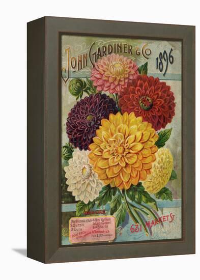 John Gardiner and Co. 1896: Dahlias-null-Framed Premier Image Canvas