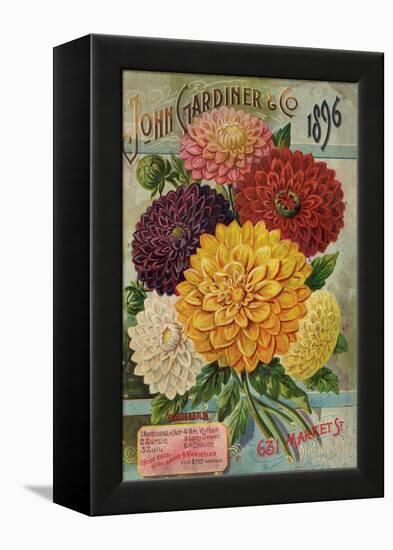 John Gardiner and Co. 1896: Dahlias-null-Framed Premier Image Canvas