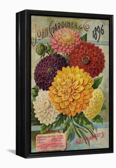 John Gardiner and Co. 1896: Dahlias-null-Framed Premier Image Canvas