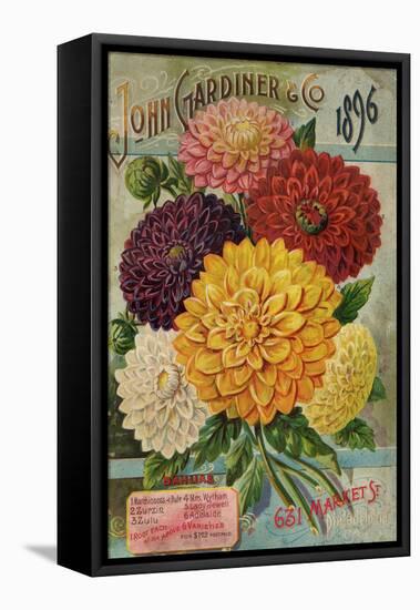 John Gardiner and Co. 1896: Dahlias-null-Framed Premier Image Canvas