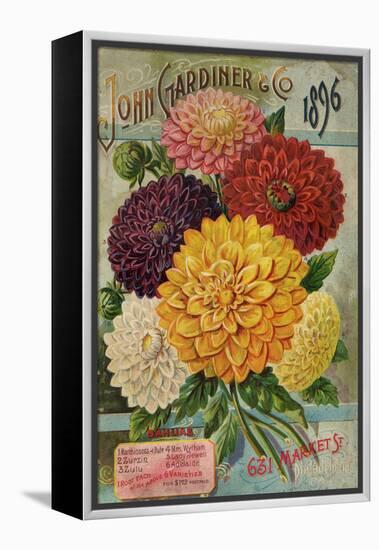 John Gardiner and Co. 1896: Dahlias-null-Framed Premier Image Canvas