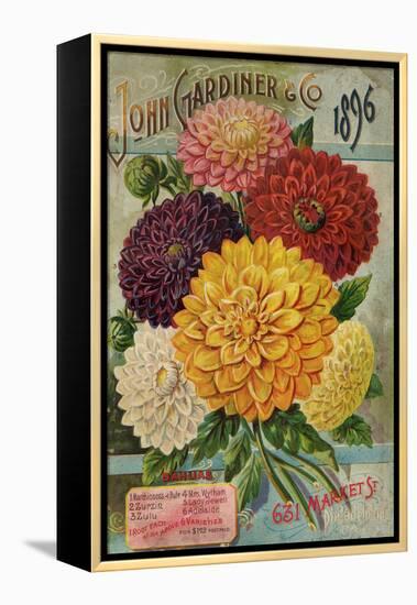 John Gardiner and Co. 1896: Dahlias-null-Framed Premier Image Canvas