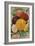 John Gardiner and Co. 1896: Dahlias-null-Framed Premium Giclee Print